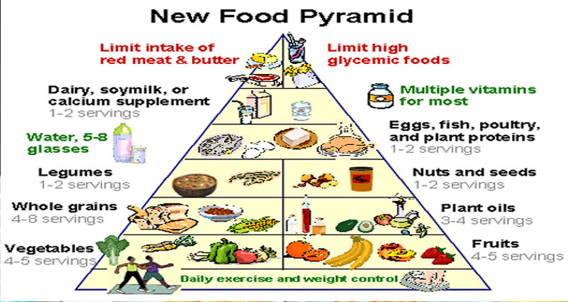 Well being Foods And Sports Nutrition