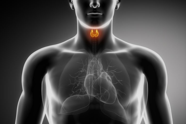 Hypothyroidism and Natural Desiccated Thyroid WAVO Health
