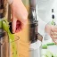 A Nutritional Showdown: Slow Juicers vs. Centrifugal Juicers for Home Use in the US